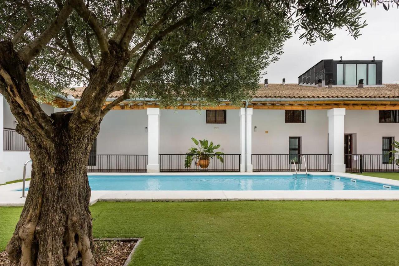 Artqhost Jerez Huge Loft & Free Parking Leilighet Jerez de la Frontera Eksteriør bilde